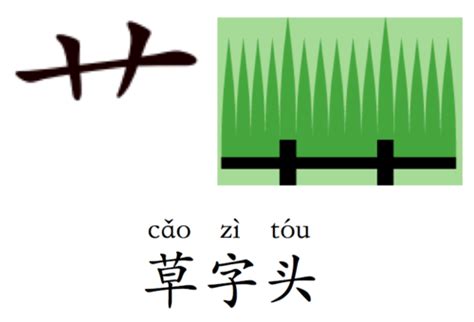 草字頭好字|部首索引 [6畫/艸部+